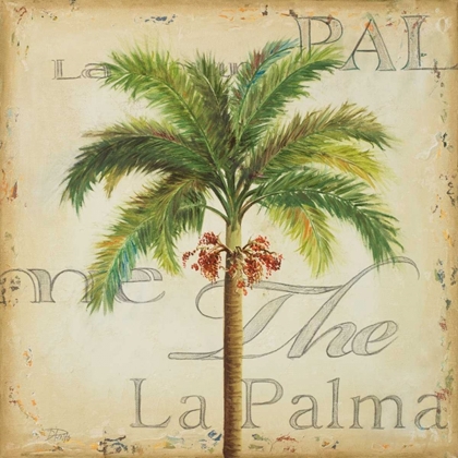 Picture of LA PALMA II