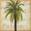Picture of LA PALMA III