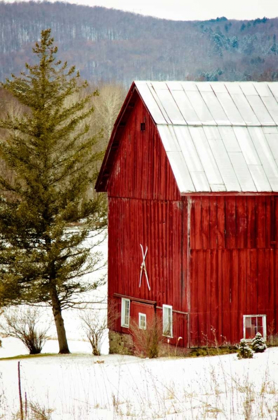 Picture of RED BARN HOUSE