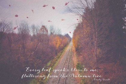 Picture of FLUTTERING AUTUMN TREES