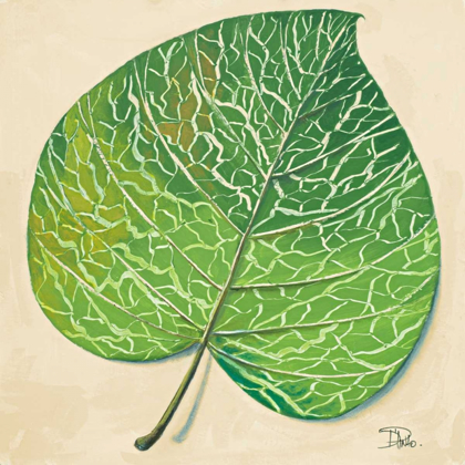 Picture of VEINS OF GREEN LEAF ON CREAM II