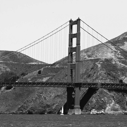 Picture of GOLDEN GATE BW