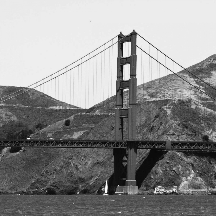 Picture of GOLDEN GATE BW