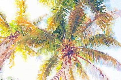 Picture of SIDEWAY WATERCOLOR PALMS I
