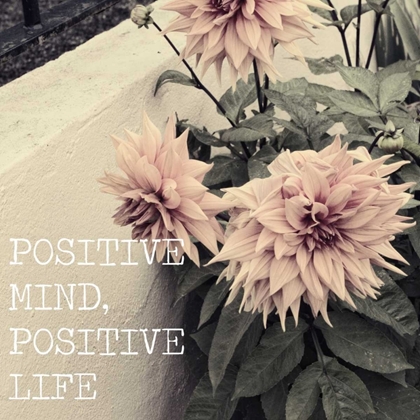 Picture of POSITIVE LIFE