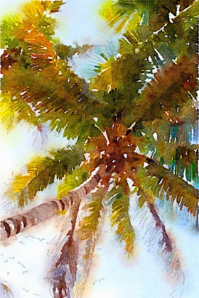 Picture of WATERCOLOR PALMS II