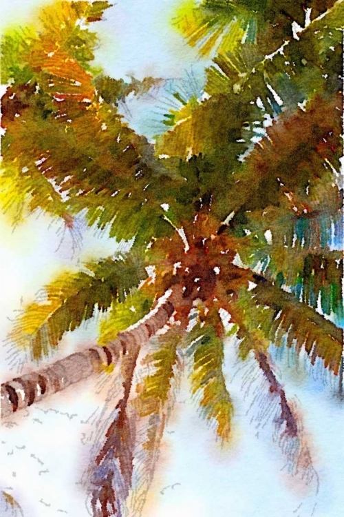 Picture of WATERCOLOR PALMS II