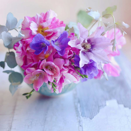 Picture of VIOLET BLOOMS