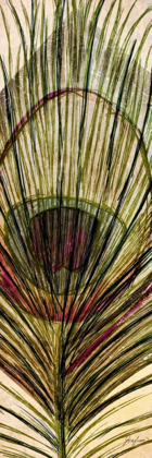 Picture of PEACOCK FEATHER II