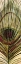 Picture of PEACOCK FEATHER II