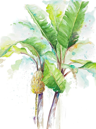 Picture of WATERCOLOR BANANA PLANTAIN