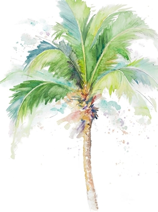 Picture of WATERCOLOR COCONUT PALM