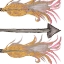 Picture of FEATHERS AND ARROWS II