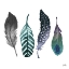 Picture of INDIGO FEATHERS