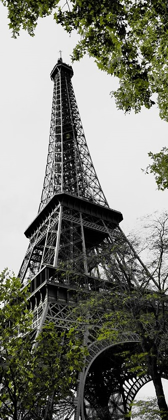 Picture of PARISIAN TRIP I
