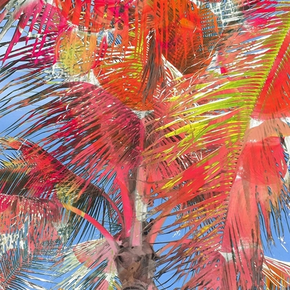 Picture of BRIGHT PALMS