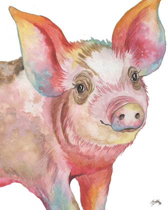 Picture of PIG I