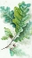 Picture of BRANCHES TO THE WIND II