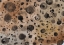Picture of RUSTIC DOTS