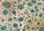 Picture of RUSTIC TURQUOISE DOTS