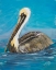 Picture of PELICAN WAY II