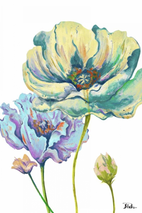 Picture of FRESH COLORED POPPIES II