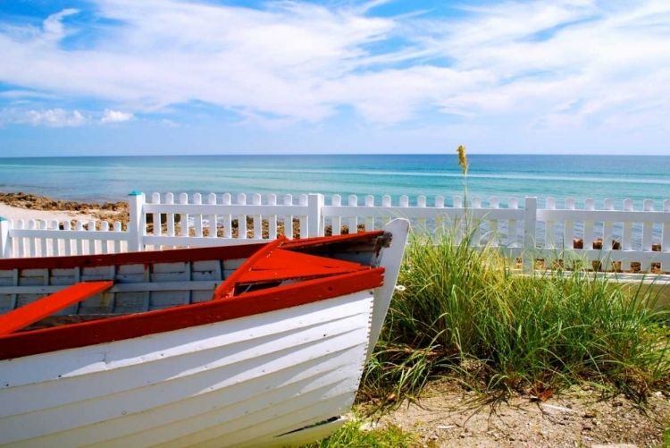 Picture of BOAT BY THE BEACH