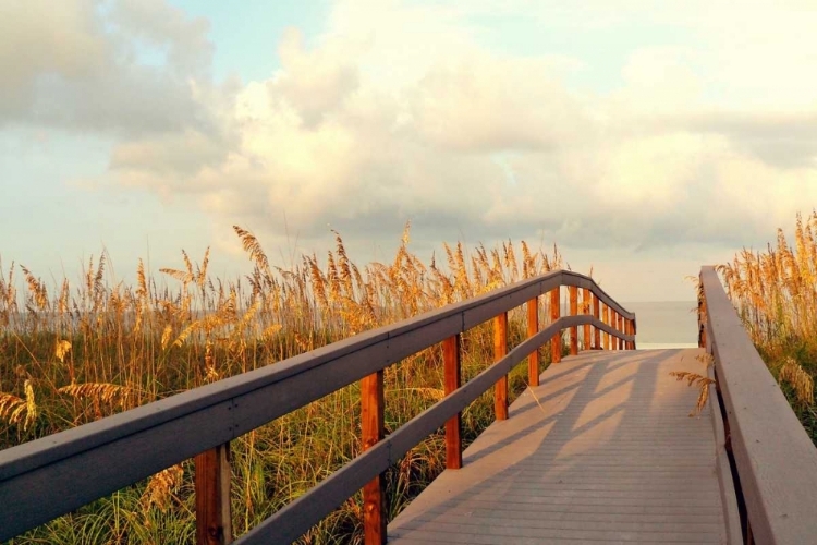 Picture of SUNSET PATHWAY