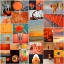 Picture of ORANGINA COLLAGE