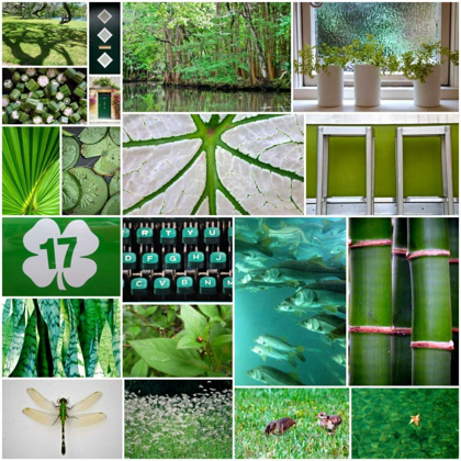 Picture of FOREST GREEN COLLAGE