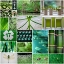 Picture of FOREST GREEN COLLAGE
