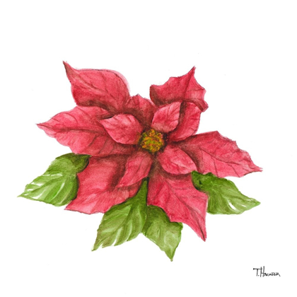 Picture of POINSETTIA I