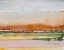 Picture of DESERT GRASSLANDS