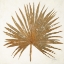 Picture of GOLDEN LEAF PALM I