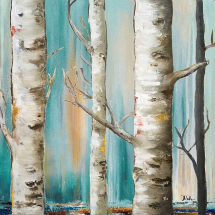 Picture of BIRCH FOREST I