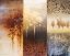 Picture of LOST IN TREES I