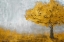 Picture of YELLOW ETERNAL TREE