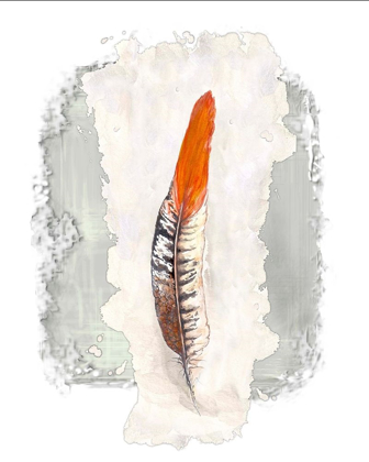 Picture of SIMPLE FEATHER II