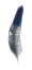 Picture of ROYAL BLUE TIP FEATHER II