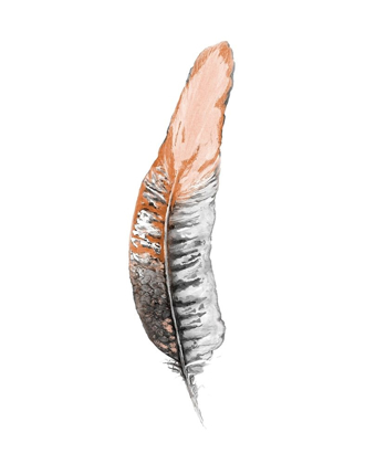 Picture of SOFT FEATHER II