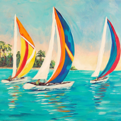 Picture of SUNSET SAILS I