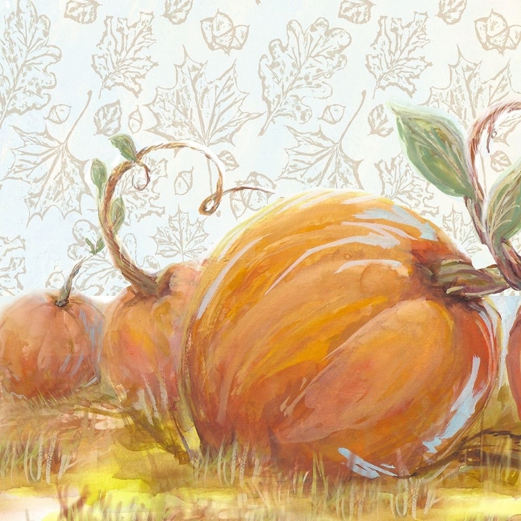 Picture of AUTUMN PUMPKIN PATCH II