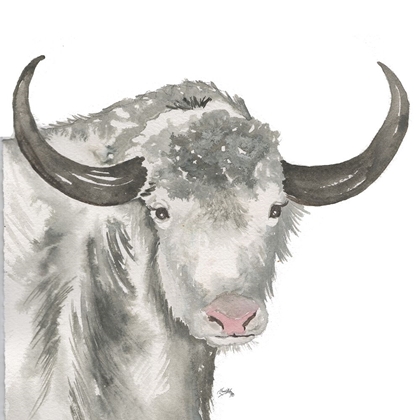 Picture of YAK