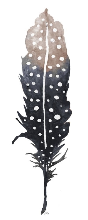 Picture of DARK FEATHER WITH SPOTS