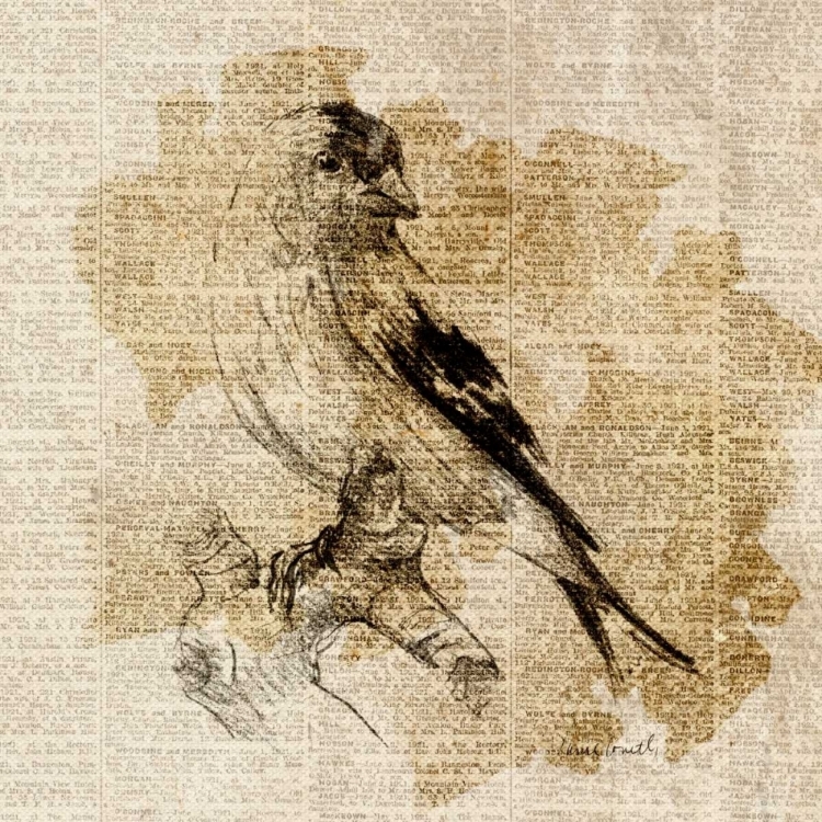 Picture of BIRD STUDY III