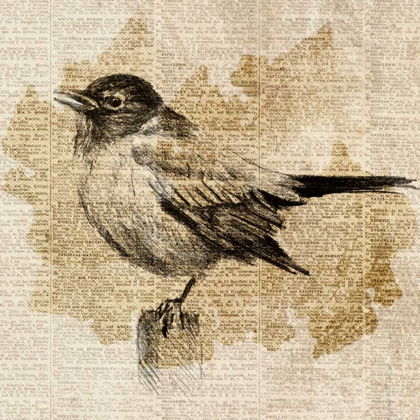 Picture of BIRD STUDY II