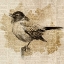 Picture of BIRD STUDY II