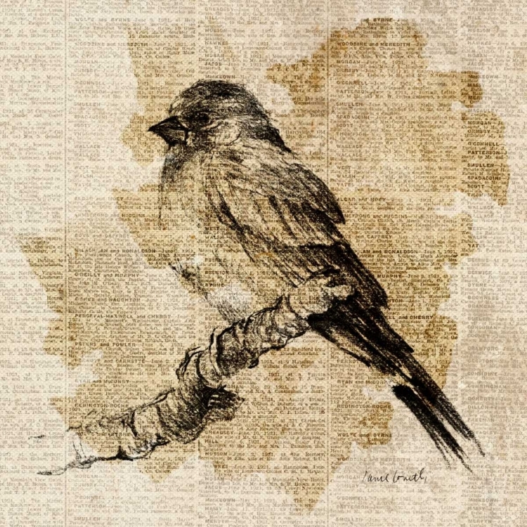 Picture of BIRD STUDY I