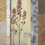 Picture of FEBRUARY II