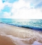 Picture of GOLDEN SANDS I